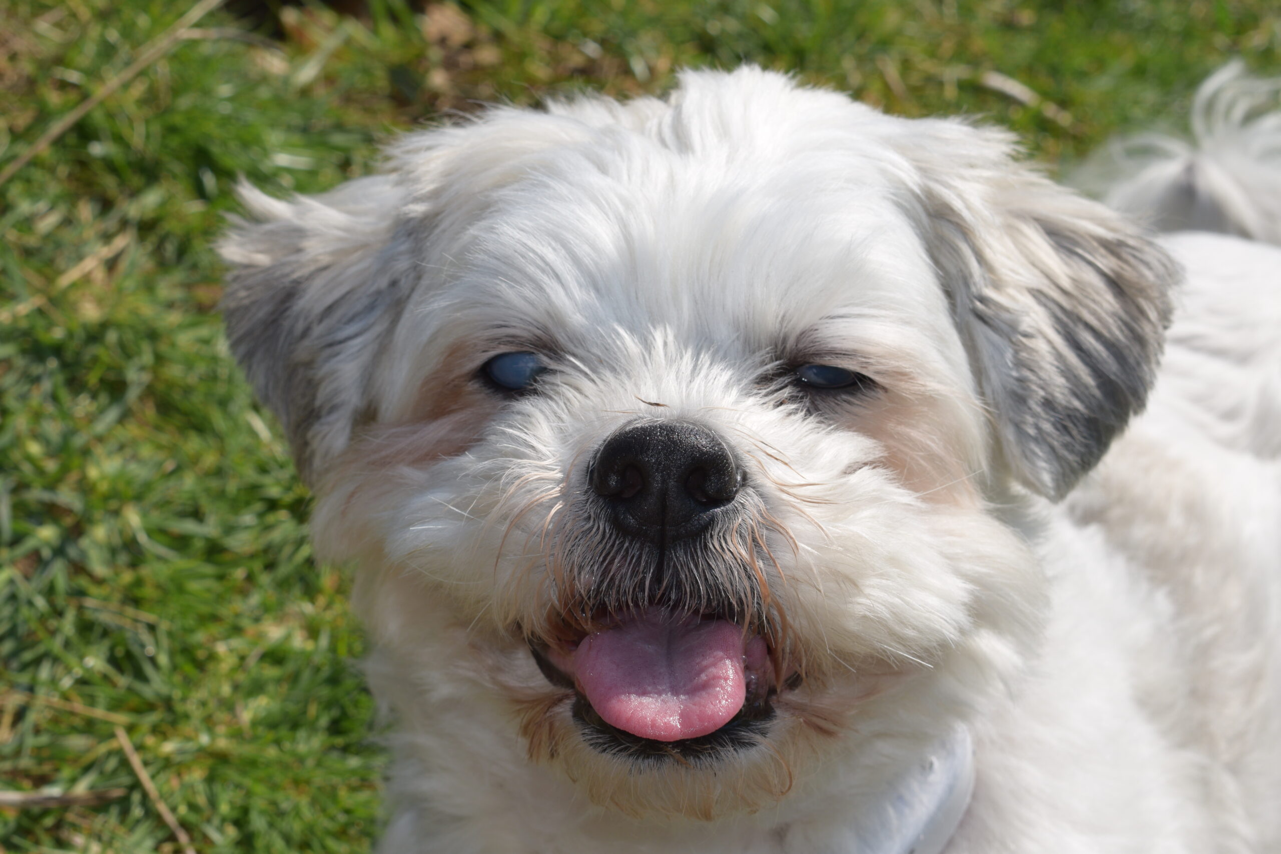 Murphy DSC_0430