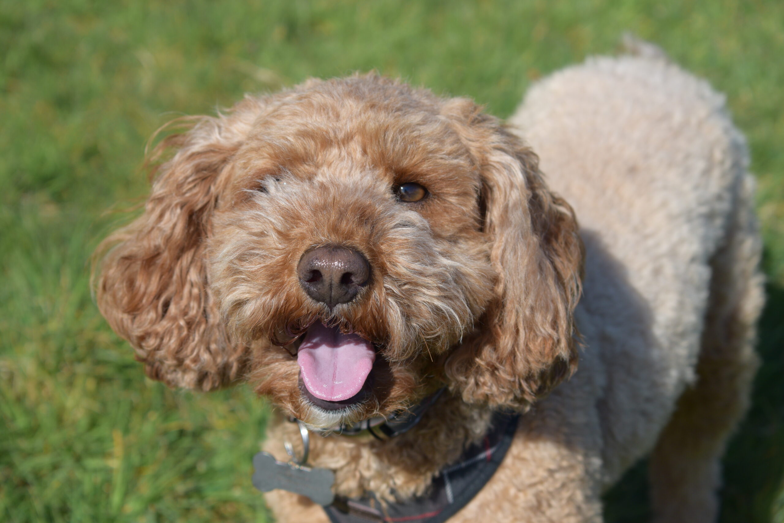 Orla DSC_0484
