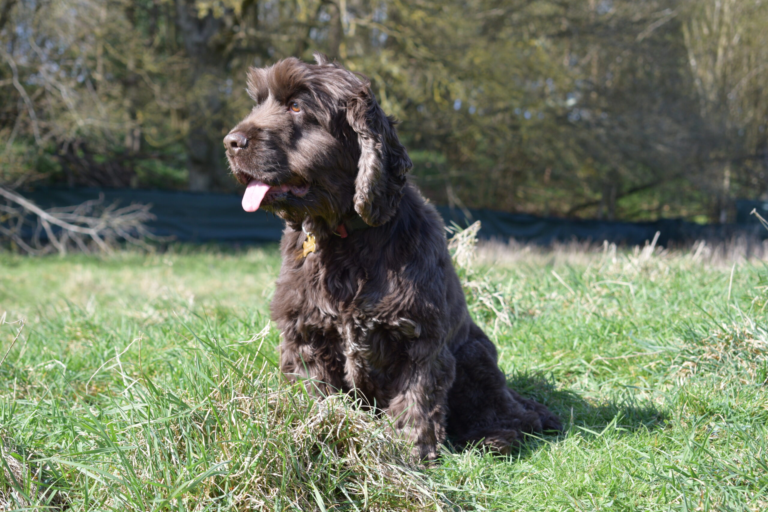 Rolo DSC_0492